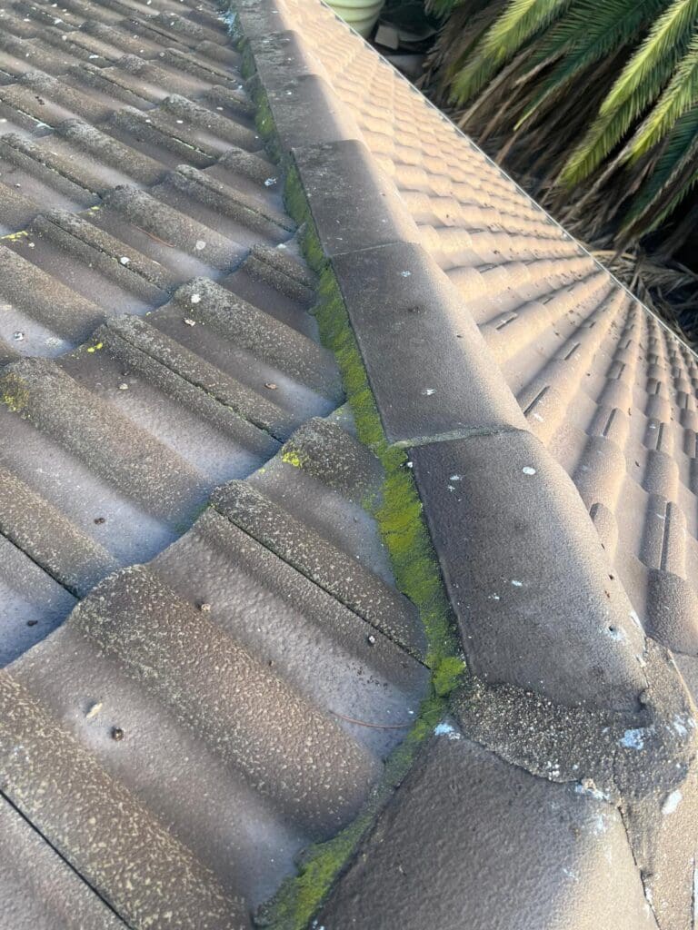 roof restoration in adelaide