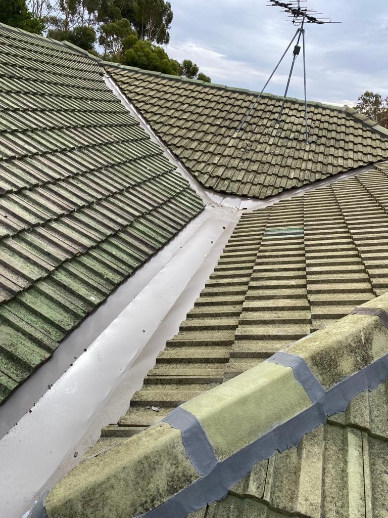 tile roof restoration cost