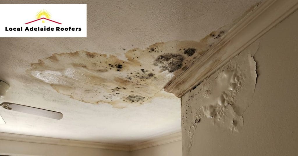 Mould Growth from Roof Leakage